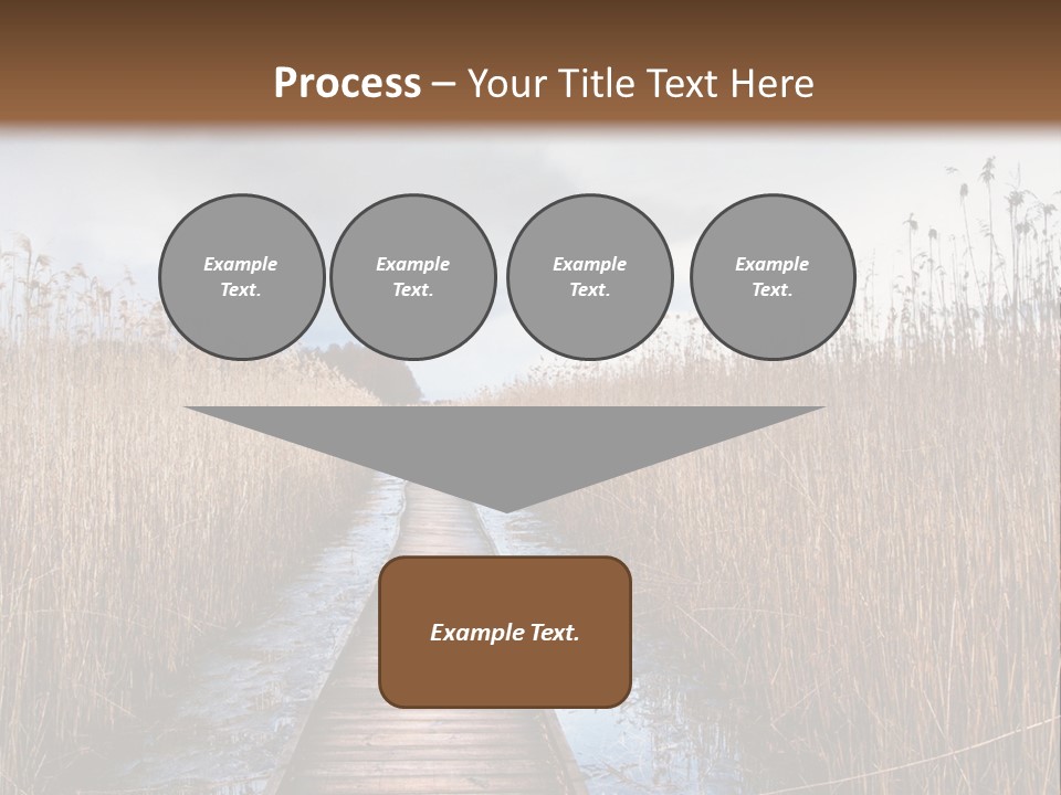 Rural Marshland Perspective PowerPoint Template