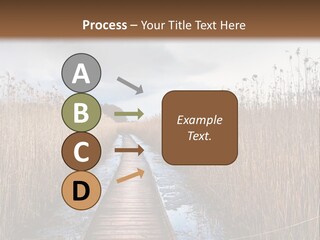 Rural Marshland Perspective PowerPoint Template