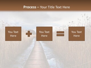 Rural Marshland Perspective PowerPoint Template