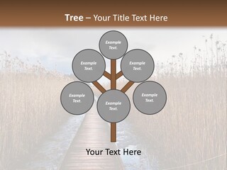 Rural Marshland Perspective PowerPoint Template