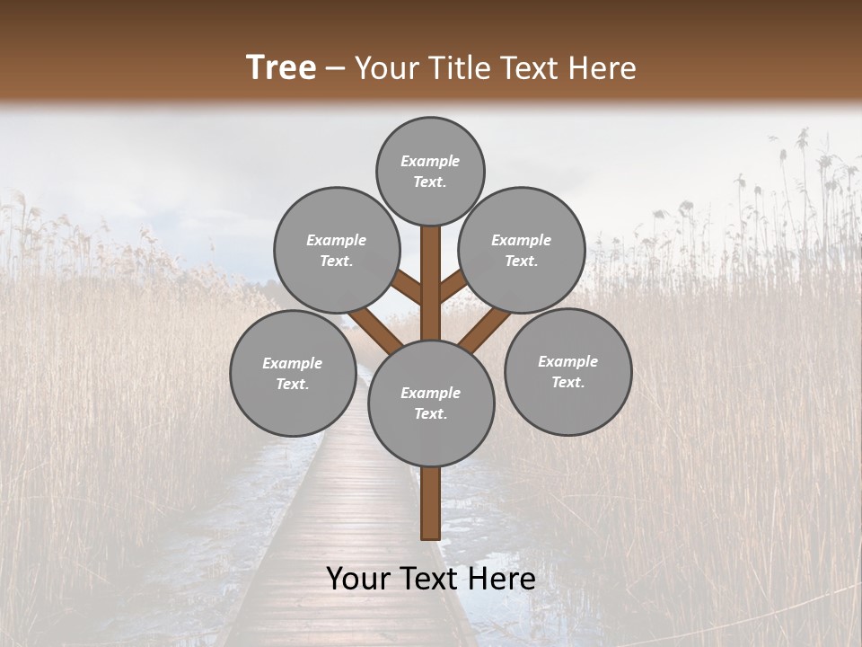 Rural Marshland Perspective PowerPoint Template