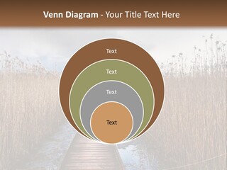 Rural Marshland Perspective PowerPoint Template
