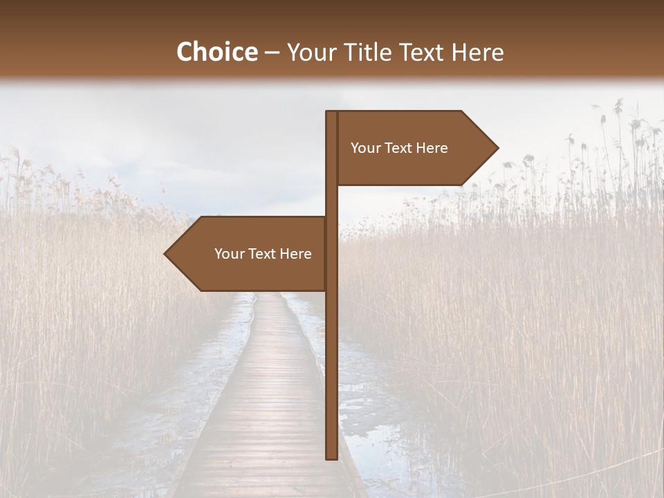 Rural Marshland Perspective PowerPoint Template