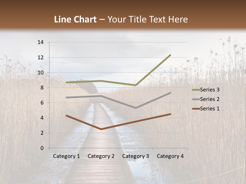 Rural Marshland Perspective PowerPoint Template