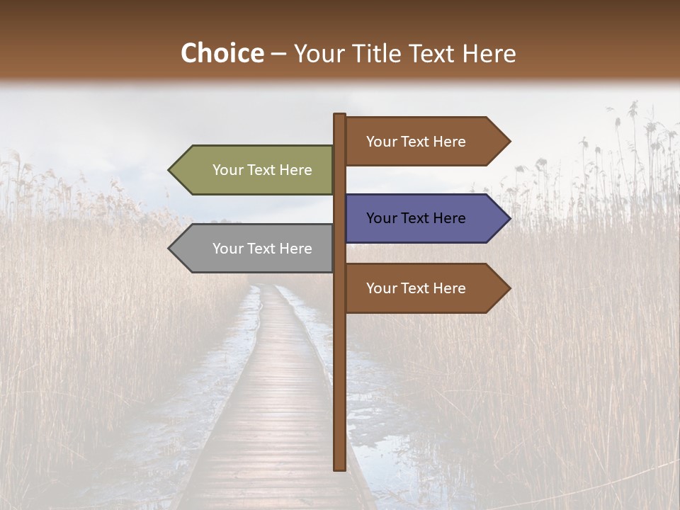 Rural Marshland Perspective PowerPoint Template
