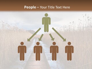 Rural Marshland Perspective PowerPoint Template