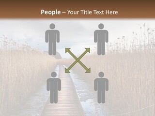 Rural Marshland Perspective PowerPoint Template