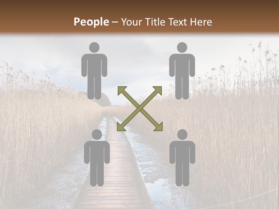 Rural Marshland Perspective PowerPoint Template
