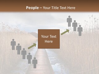 Rural Marshland Perspective PowerPoint Template