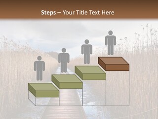 Rural Marshland Perspective PowerPoint Template