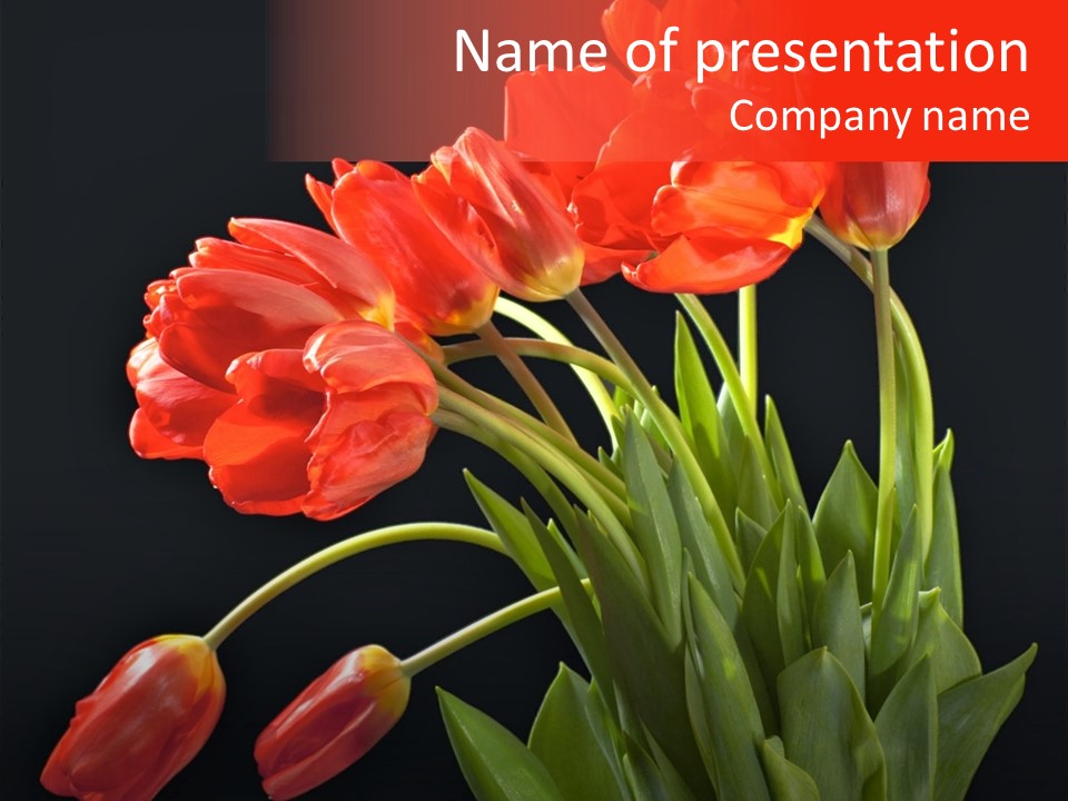 Plant Pot Bouquet PowerPoint Template