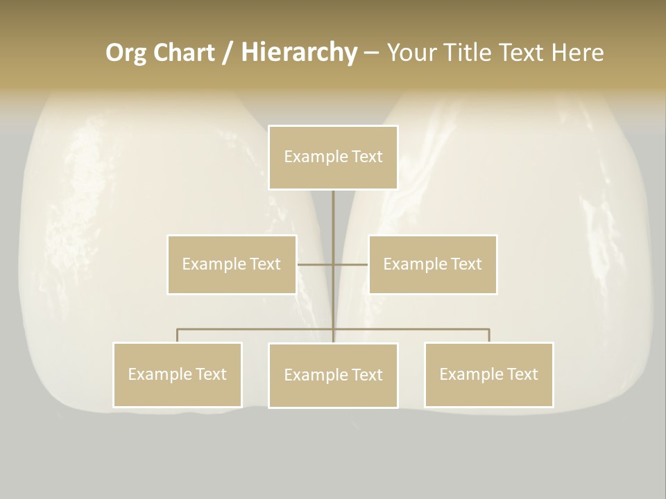 Treatment Costly Aesthetics PowerPoint Template