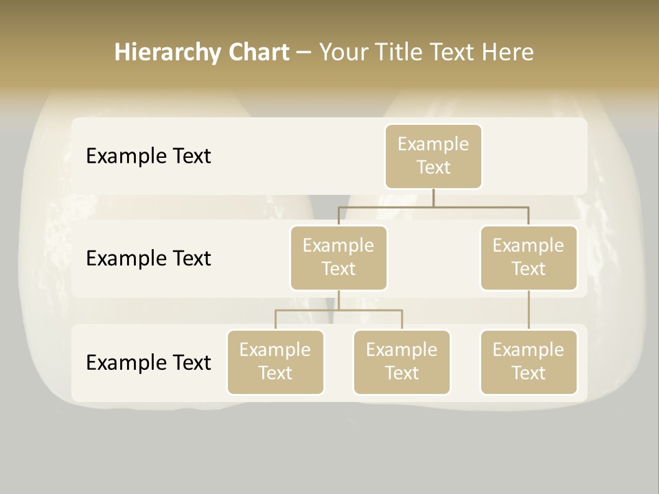 Treatment Costly Aesthetics PowerPoint Template