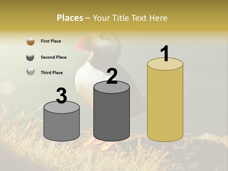 One Sea Life PowerPoint Template