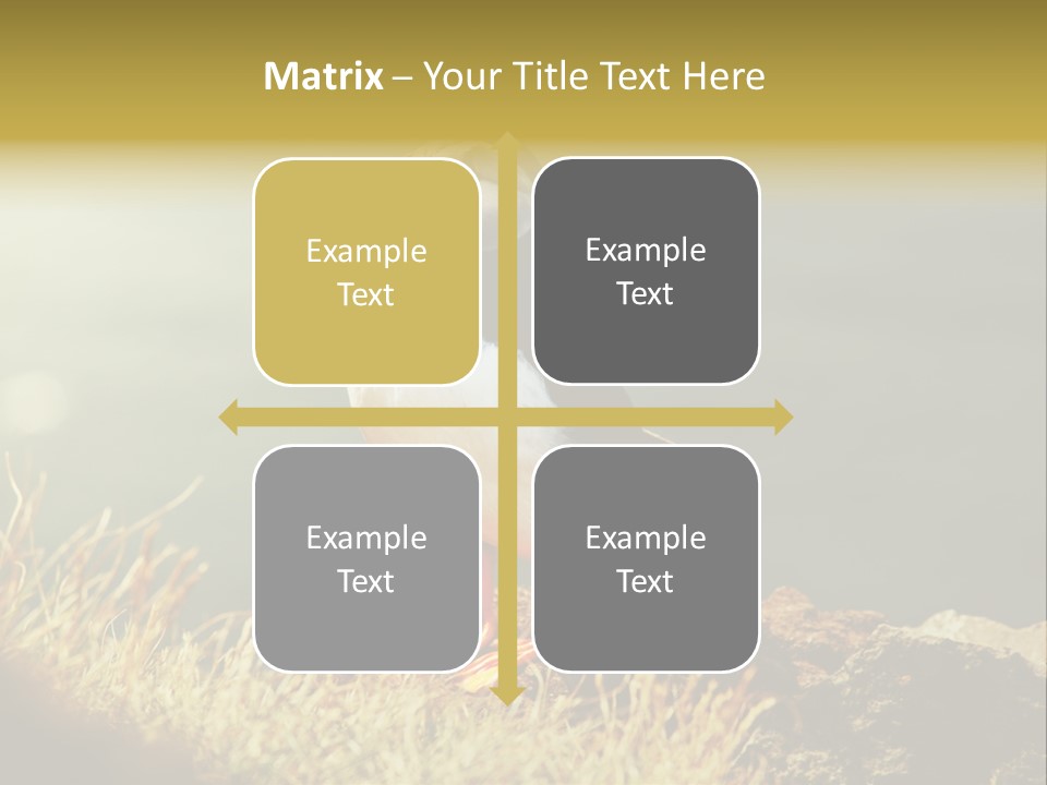 One Sea Life PowerPoint Template