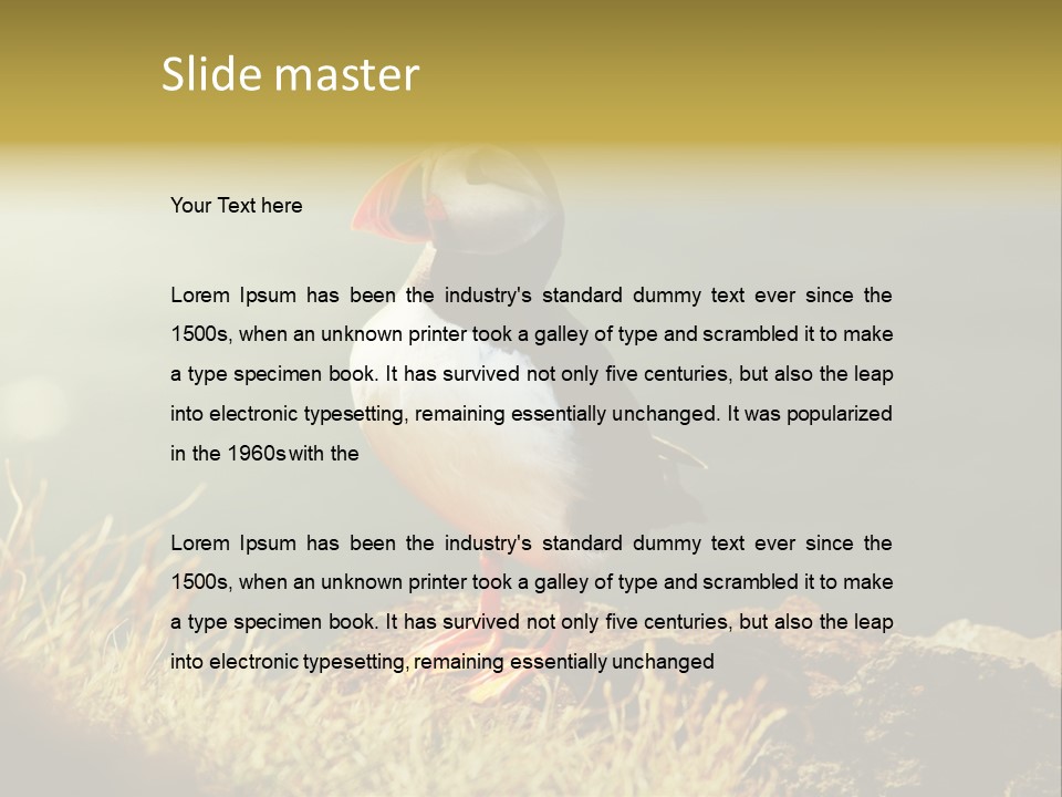 One Sea Life PowerPoint Template