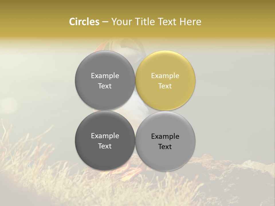 One Sea Life PowerPoint Template