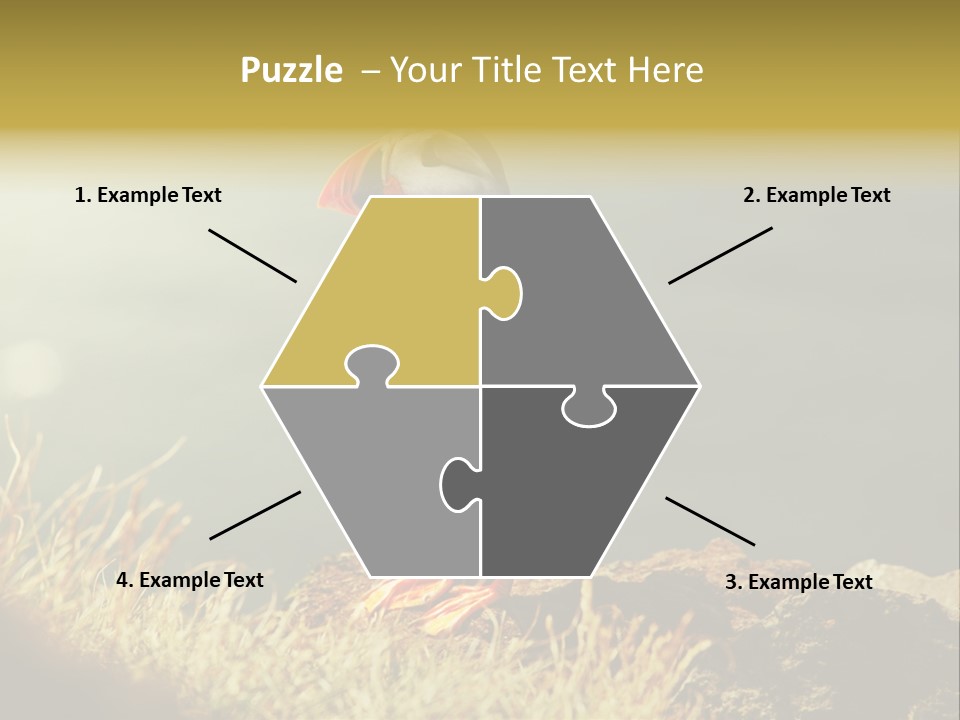 One Sea Life PowerPoint Template