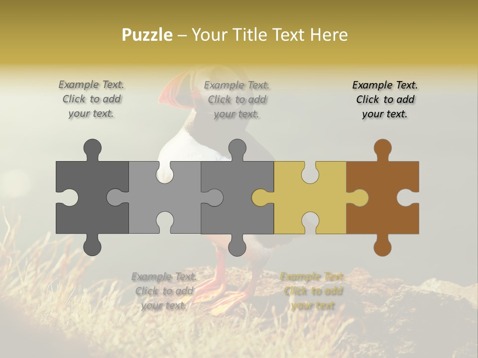 One Sea Life PowerPoint Template