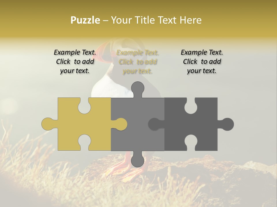 One Sea Life PowerPoint Template