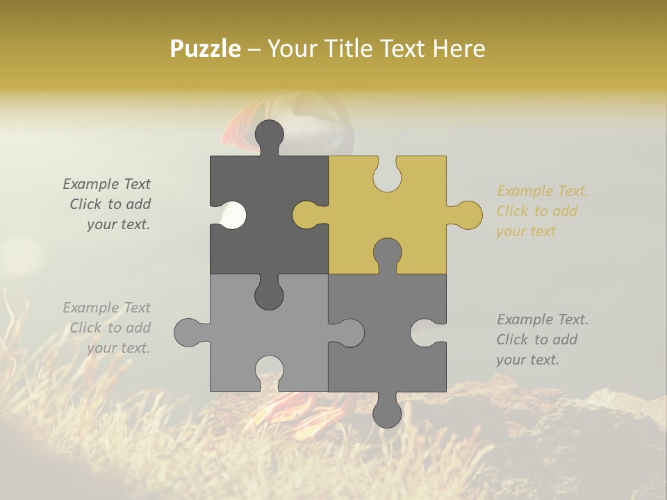 One Sea Life PowerPoint Template