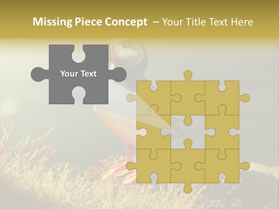 One Sea Life PowerPoint Template