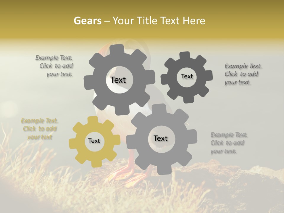 One Sea Life PowerPoint Template