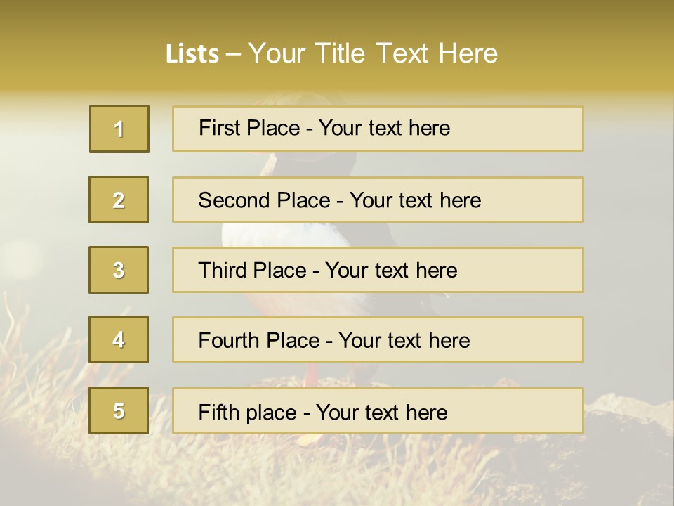 One Sea Life PowerPoint Template