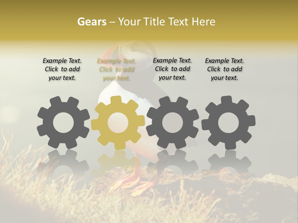 One Sea Life PowerPoint Template