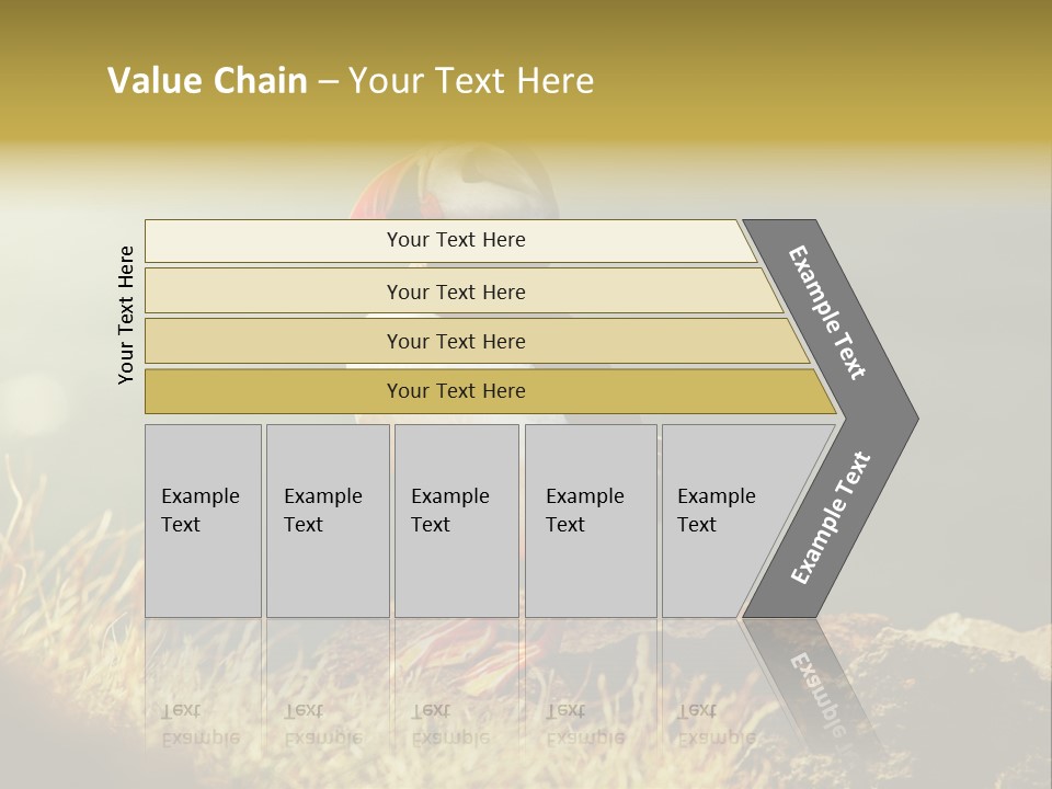 One Sea Life PowerPoint Template