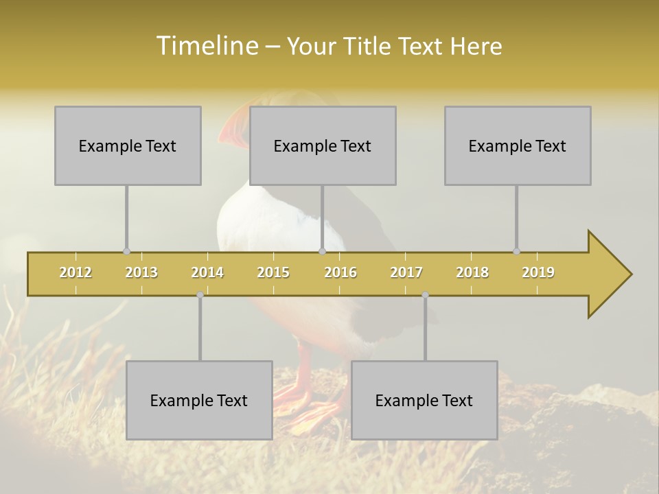 One Sea Life PowerPoint Template