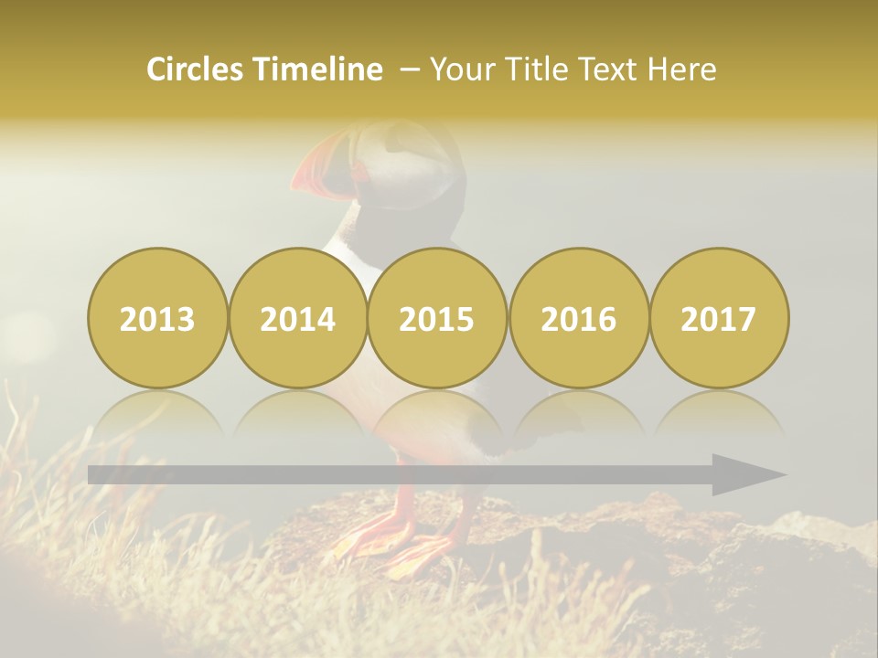 One Sea Life PowerPoint Template