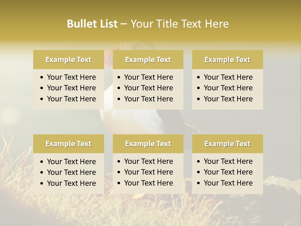 One Sea Life PowerPoint Template