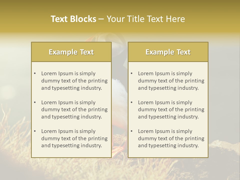 One Sea Life PowerPoint Template