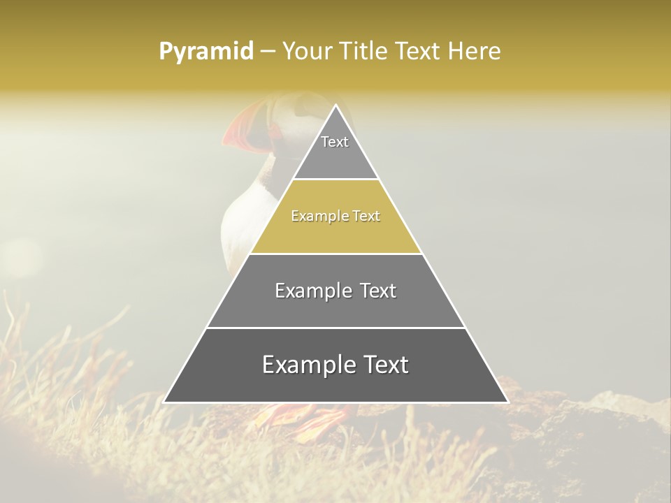 One Sea Life PowerPoint Template