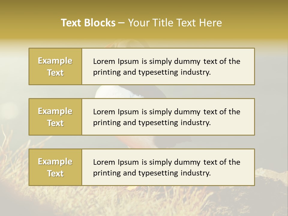 One Sea Life PowerPoint Template