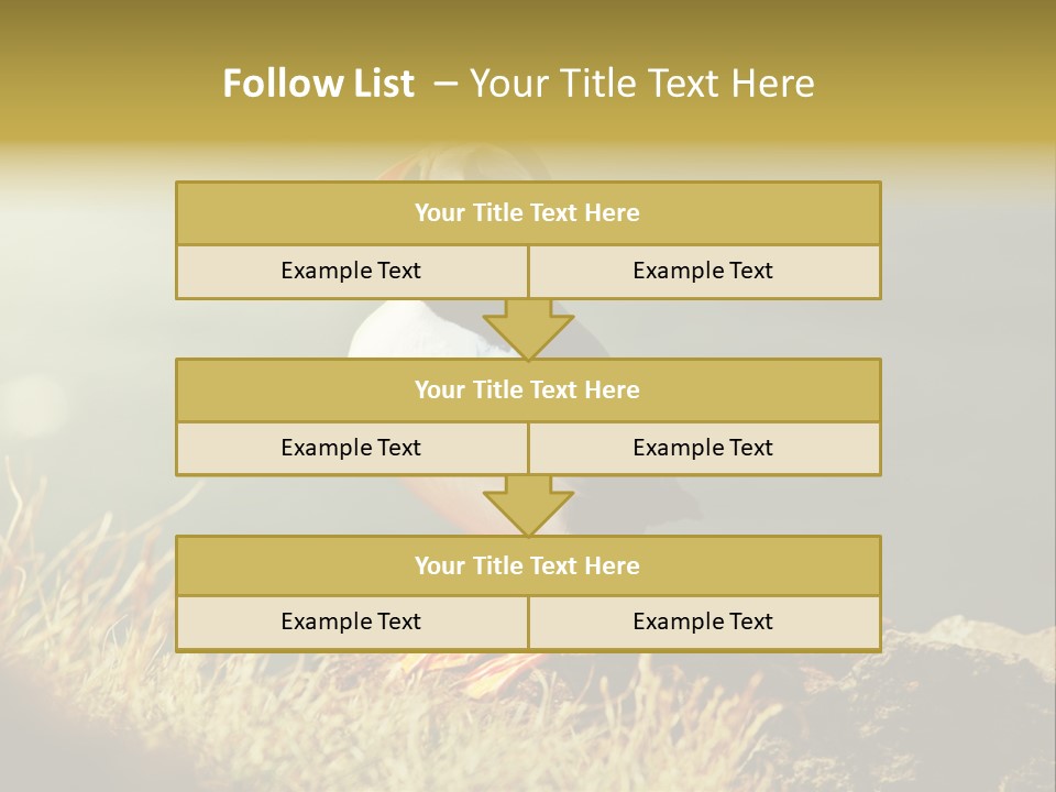 One Sea Life PowerPoint Template