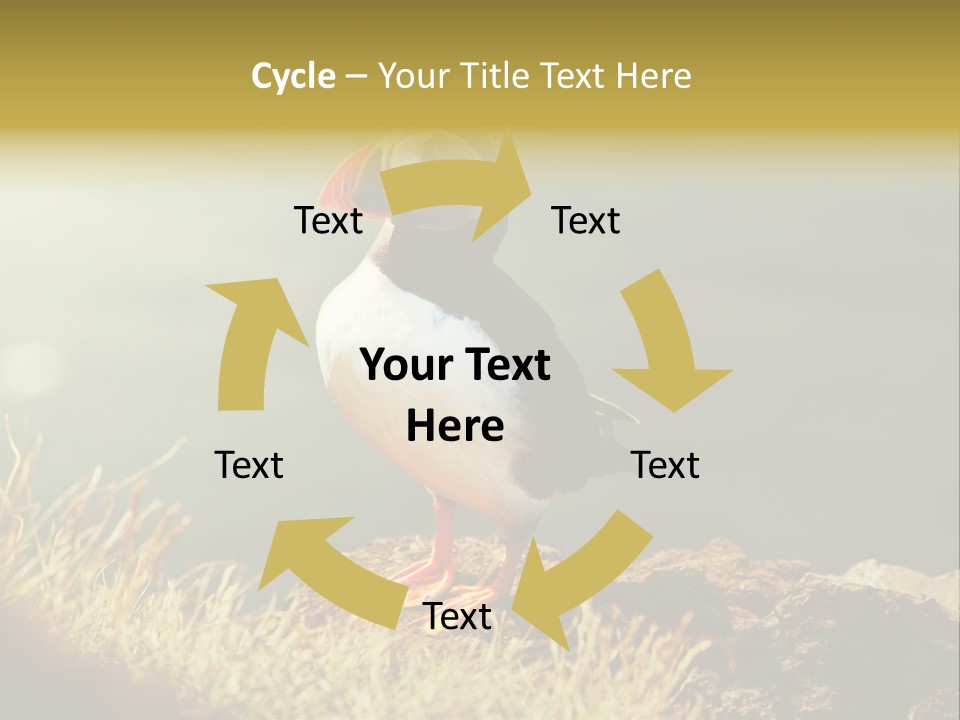 One Sea Life PowerPoint Template