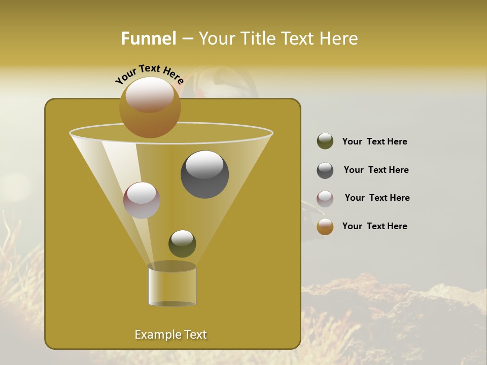 One Sea Life PowerPoint Template