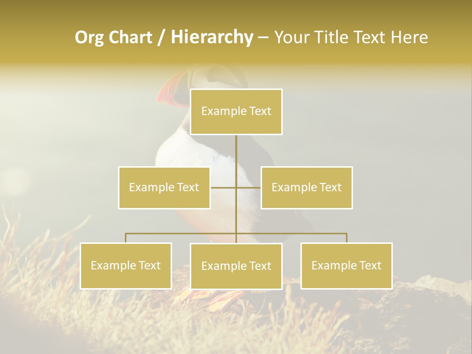 One Sea Life PowerPoint Template