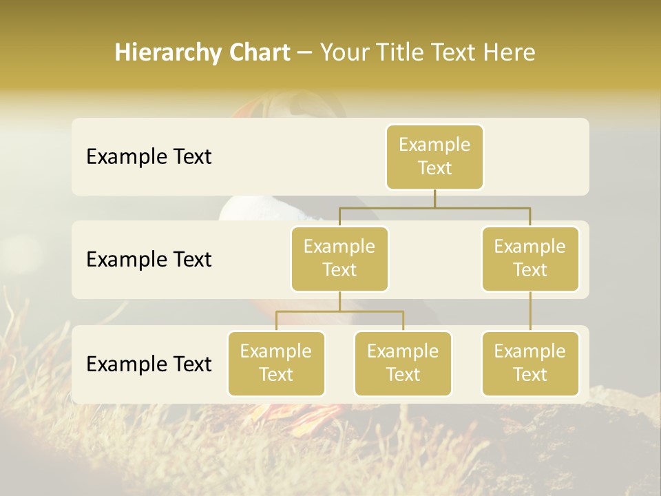 One Sea Life PowerPoint Template