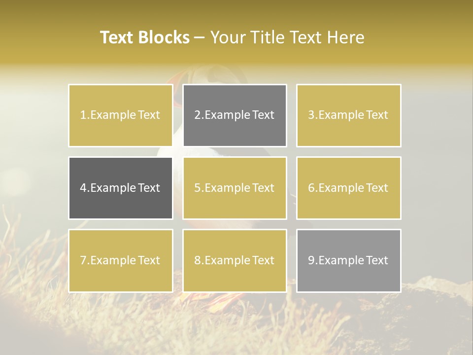 One Sea Life PowerPoint Template