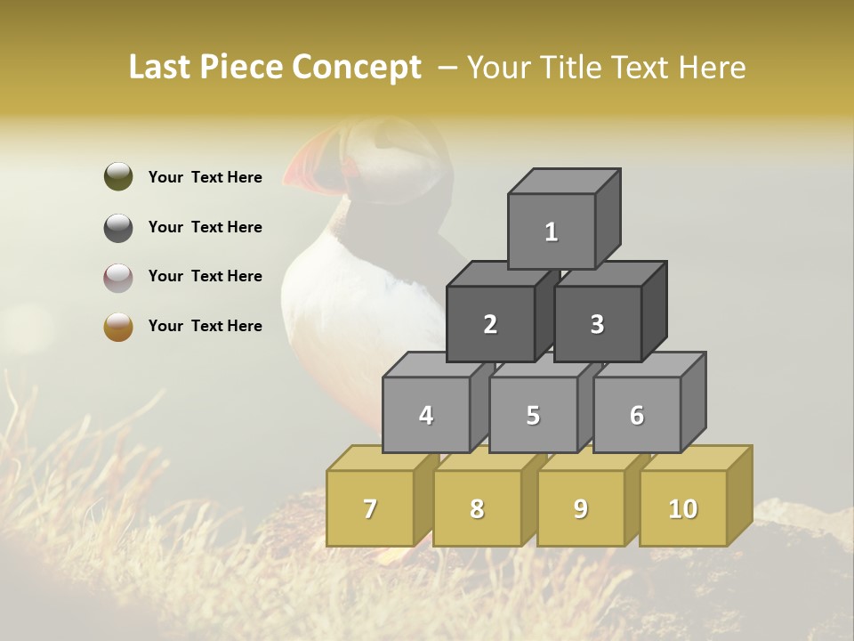 One Sea Life PowerPoint Template