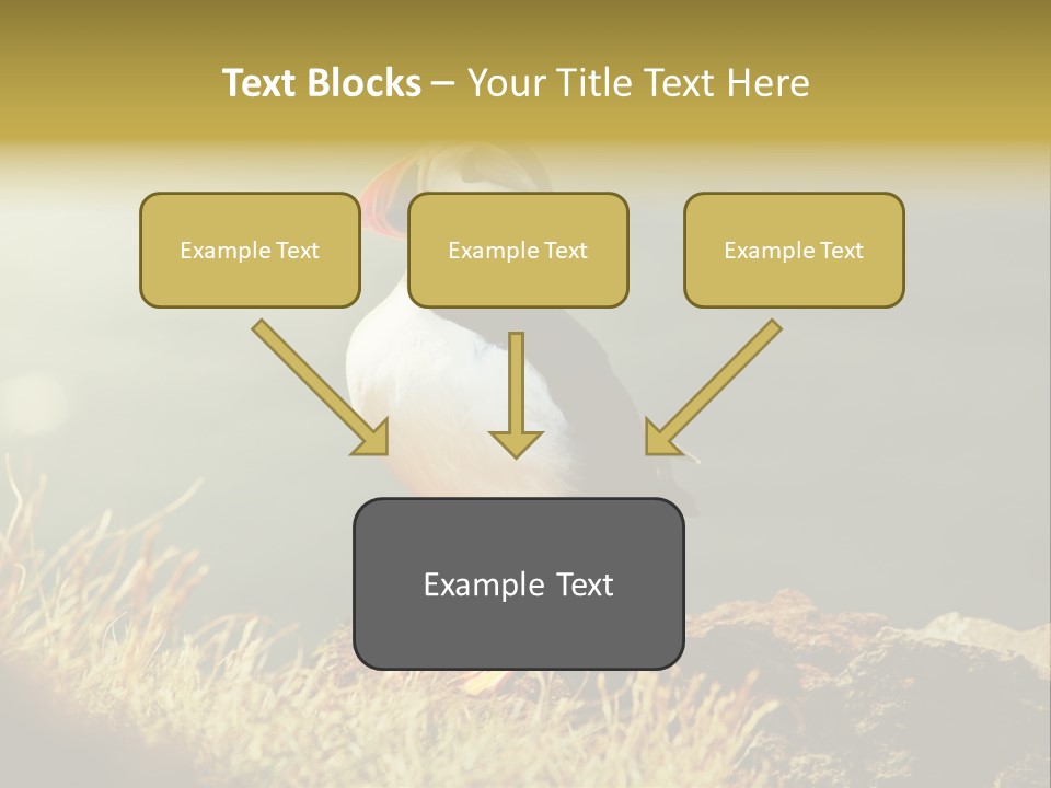 One Sea Life PowerPoint Template