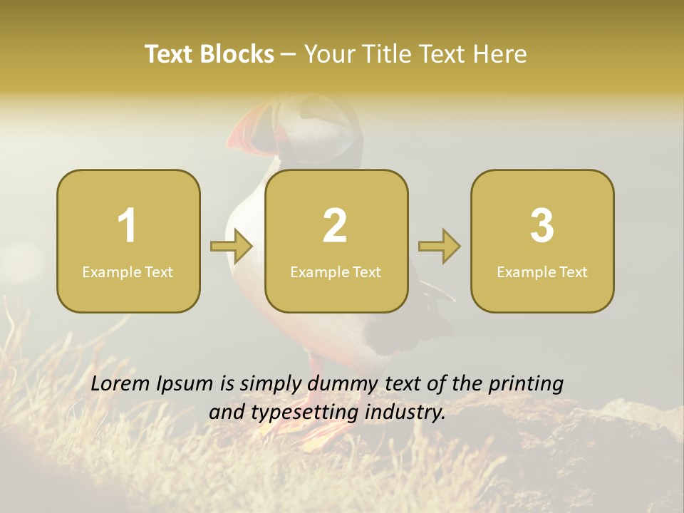 One Sea Life PowerPoint Template