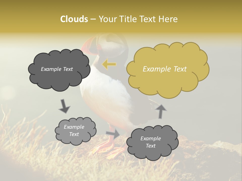 One Sea Life PowerPoint Template