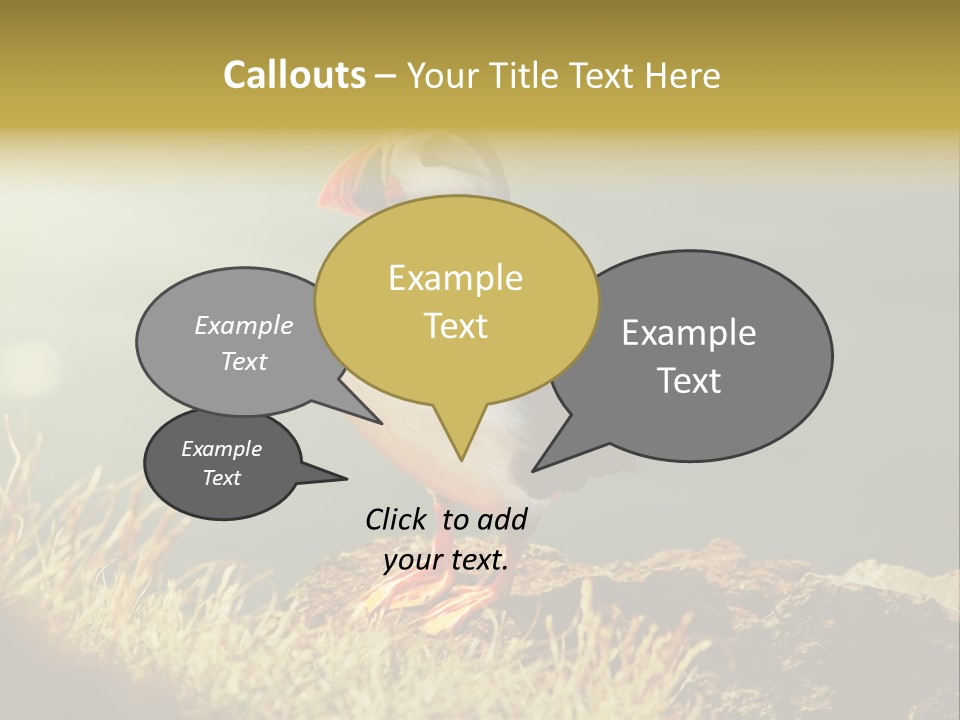 One Sea Life PowerPoint Template