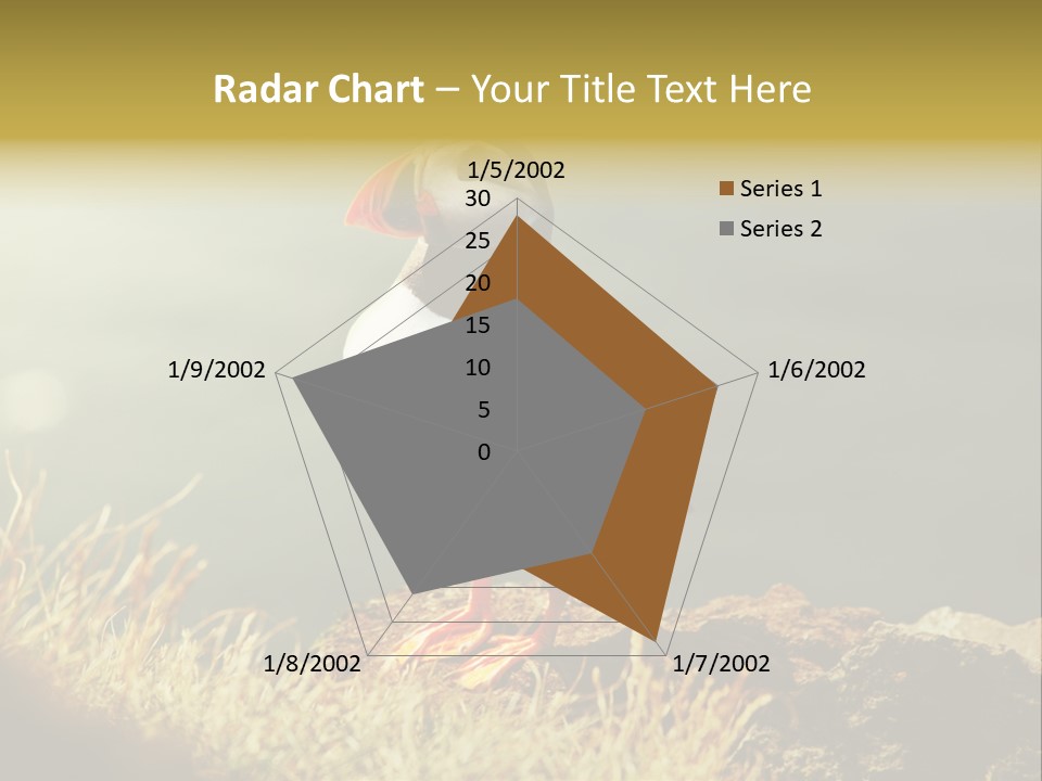 One Sea Life PowerPoint Template