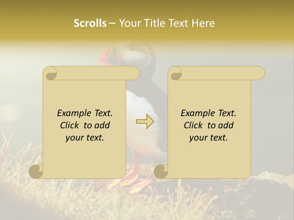 One Sea Life PowerPoint Template