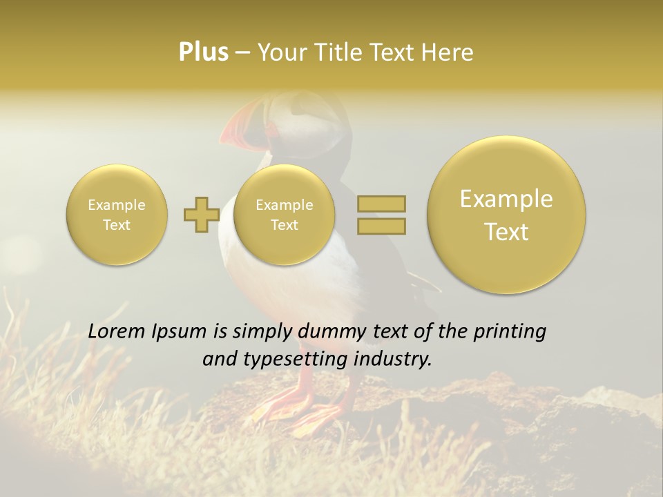 One Sea Life PowerPoint Template